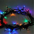 Perfect Holiday 100 LED Green Cable String Light, Multicolor SG-100MT